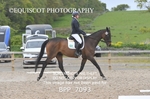 BPP_7093