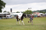 SBM_09916