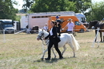 WJ6_7878