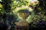 Urn at Dewstow Gardens