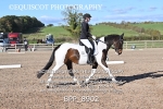 BPP_8902