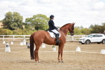 SBM_009428