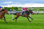 Race 1 14.10pm Download The Raceday Ready App Apprentice Handicap portfolio