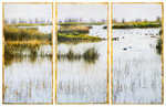 Gray Lodge Wildlife Area