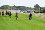 260826-Race 1-Mugheer-2100