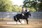 SBM_18317