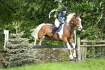 Class 13 - 80cm 17 Years and Over portfolio