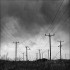 POWER POLES
