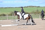 BPP_8892