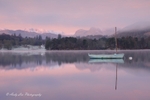 Moondancer Sunrise