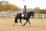 SBM_000981