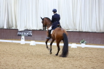 SBM_009697