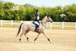 SBM_006488
