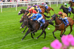 260725-Race 2-Elmonjed-7254