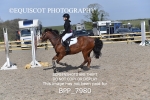 BPP_7980