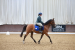 SBM_000030