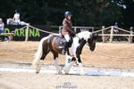 Novice Bronze break - end portfolio
