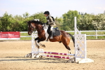SBM_000237