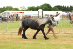 SBM_00375