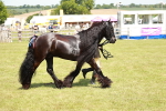 SBM_07171
