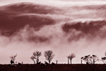 Dragons Breath-ACP_1839