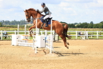 SBM_003354