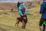 Loughrigg-1