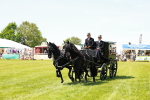 SBM_06675