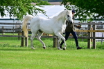 SBM_00033