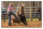 Calf Roping Dismount 1