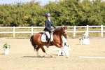 SBM_009928