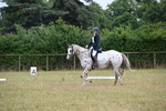 WJ6_0346