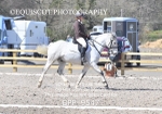 BPP_9547