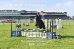 BPP_1217
