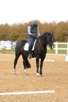 SBM_000995