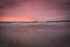 February Sunrise