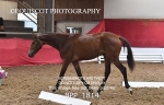 BPP_1814