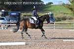BPP_9332