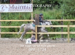 BPP_1704