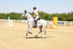 SBM_001597