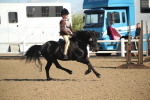 SBM_12695