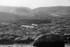 Foynøya  8088