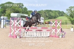BPP_2739