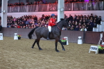 SBM_003540
