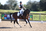 Unaffiliated Dressage portfolio