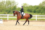 SBM_006558