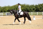 SBM_008253