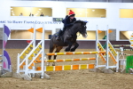 SBM_002647