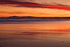 Morning Wave - Lossiemouth
