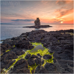 Rock Pools, Sea Gull Isle (IMG0894)